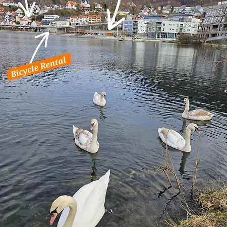 Is Where Your Heart Is!